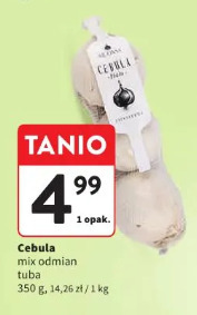 Cebula mix odmian tuba