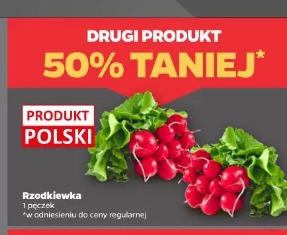 Rzodkiewka