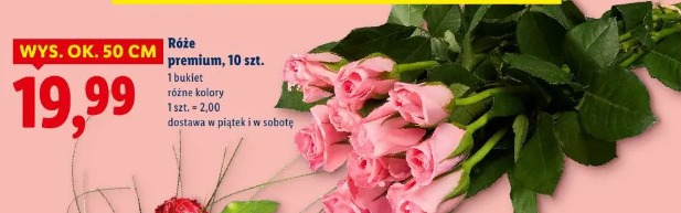 Róże premium, 10 szt.