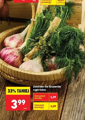 Zestaw do kiszenia ogórków
