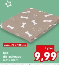 Koc dla zwierząt