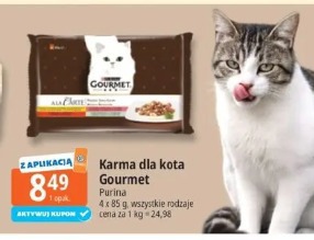 Karma dla kota Gourmet Purina