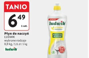 Płyn do naczyń Ludwik