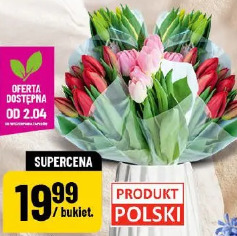 Tulipany
