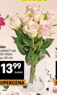 Bukiet róż