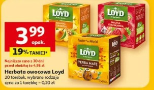 Herbata owocowa Loyd