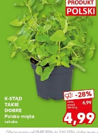 K-Stąd Takie Dobre Polska mięta