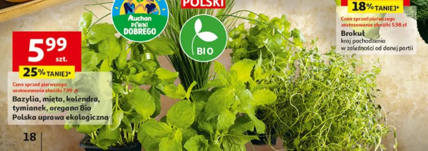Bazylia, mięta, kolendra, tymianek, oregano Bio Polska