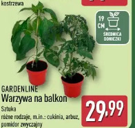 Gardenline Warzywa na balkon