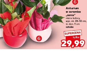 Anturium w ceramicznej serce