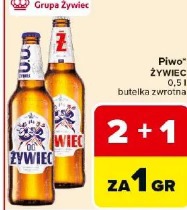 Żywiec piwo