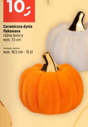 Ceramiczna dynia flokowana