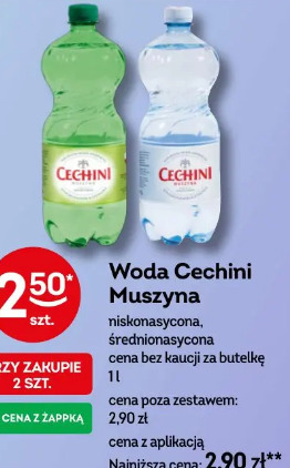 Woda Cechini Muszyna