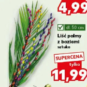 Liść palmy z baziami