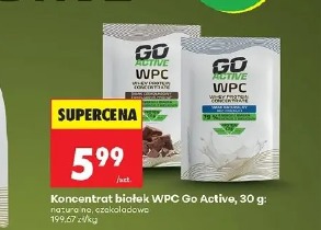 Koncentrat białek WPC Go Active
