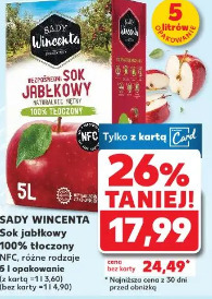 Sady Wincenta Sok jabłkowy 100% tłoczony NFC