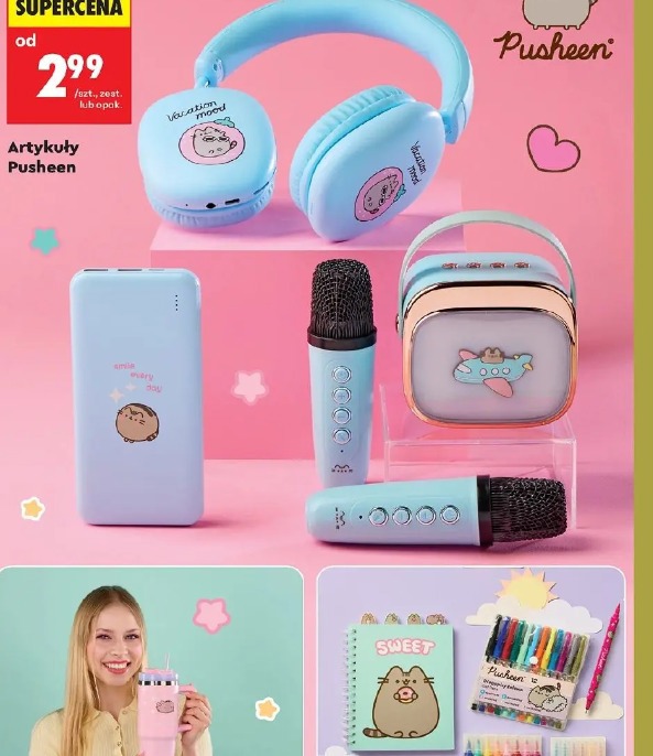 Artykuły Pusheen