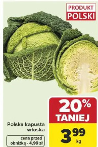 Polska kapusta włoska