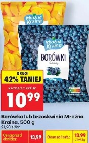 Borówka lub brzoskwinia Mrożna Kraina