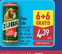 Piwo Żubr
