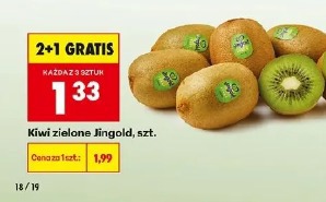 Kiwi zielone Jingold, szt.
