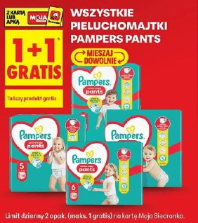 Wszystkie pieluchomajtki Pampers Pants