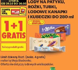 Lody na patyku, rożki, tubki, lodowe kanapki i kubeczki do 280 ml
