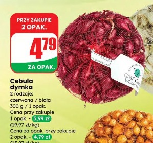 Cebula dymka