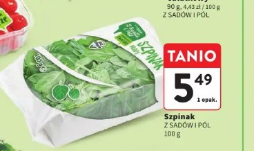 Szpinak z sadów i pól