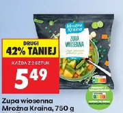 Zupa wiosenna Mrożna Kraina