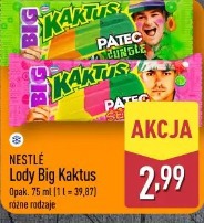 Nestlé Lody Big Kaktus