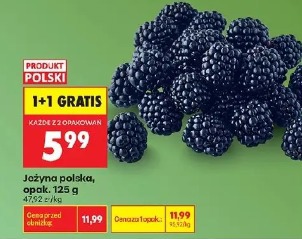 Jeżyna polska, opak. 125 g