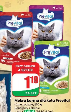 Mokra karma dla kota Prevital