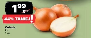 Cebula