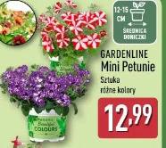 Gardenline Mini Petunie