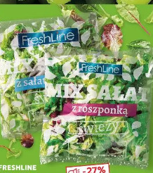 Freshline Miks sałat