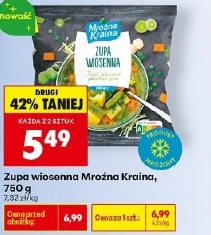 Zupa wiosenna Mrożna Kraina