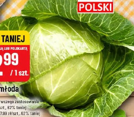 Kapusta młoda