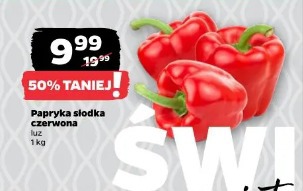 Papryka słodka czerwona