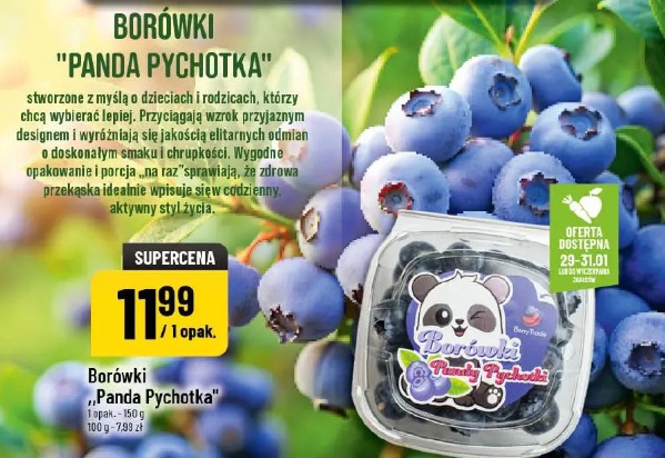 Borówki Panda Pychotka