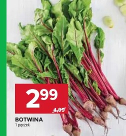 Botwina