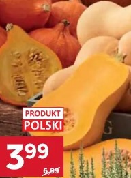 Dynia jadalna piżmowa