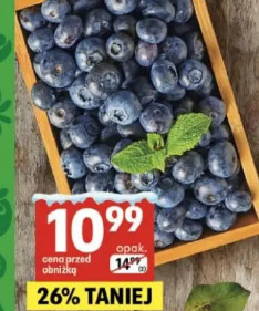 Borówki amerykańskie