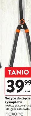 Nożyce do cięcia żywopłotu NEXONE