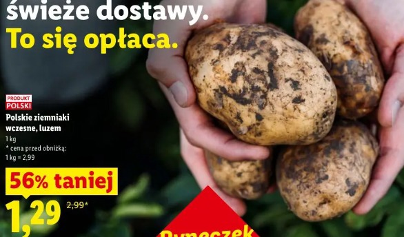 Polskie ziemniaki wczesne, luzem