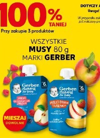 Wszystkie musy 80 g marki Gerber
