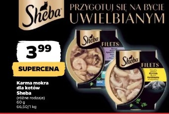 Karma mokra dla kotów Sheba