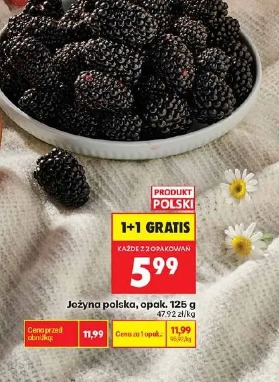 Jeżyna polska, opak. 125 g 1+1 gratis