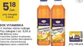 Sok Vitaminka Hortex