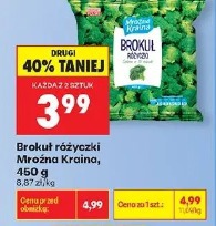 Brokuł różyczki Mroźna Kraina